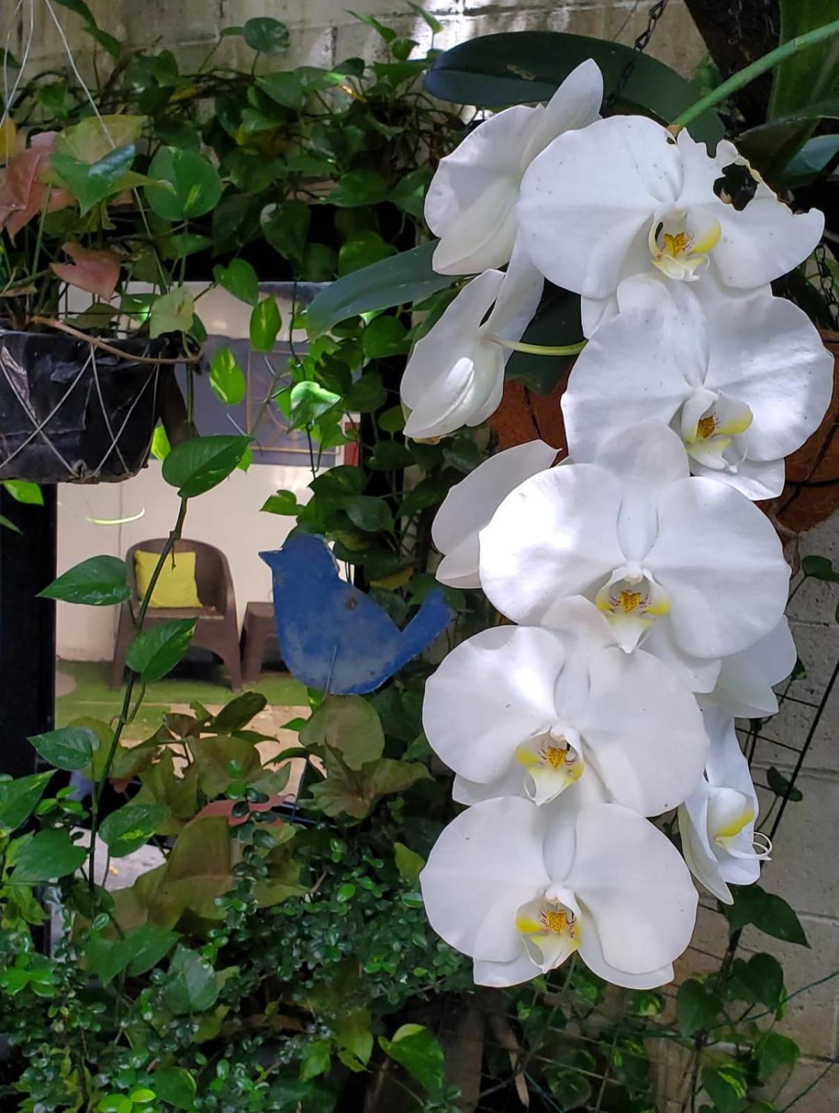 Madero Bed and breakfast San Salvador